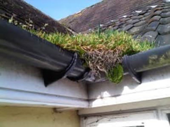 Cleaning Blocked Gutters in Long Stratton